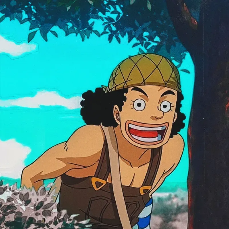 Ảnh Usopp hài hước