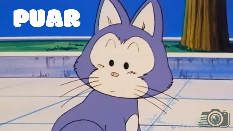 Top 99+ hình ảnh sinh vật nhỏ bé Puar trong Dragon Ball