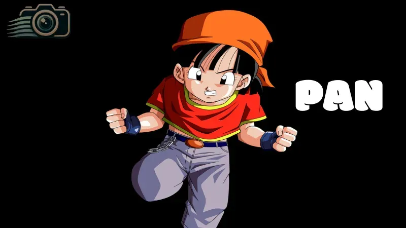 85+ Hình ảnh cô bé kiên cường Pan trong Dragon Ball