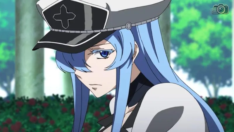 Tổng hợp những hình ảnh Esdeath đẹp nhất từ Akame Ga Kill