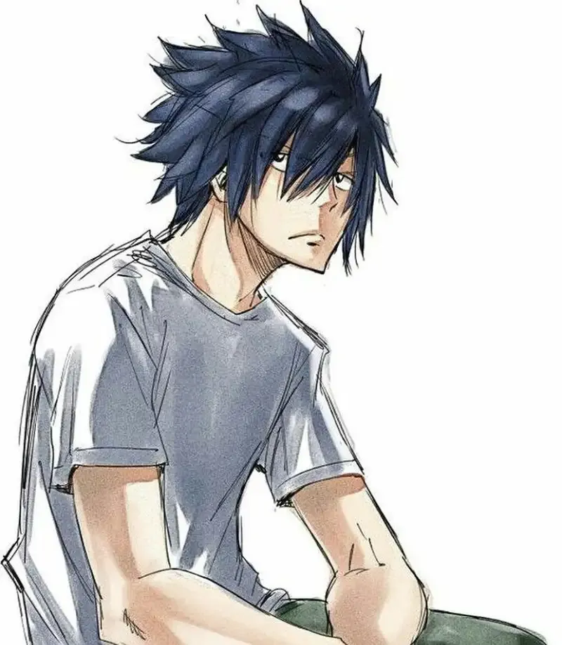 Ảnh Gray Fullbuster 2