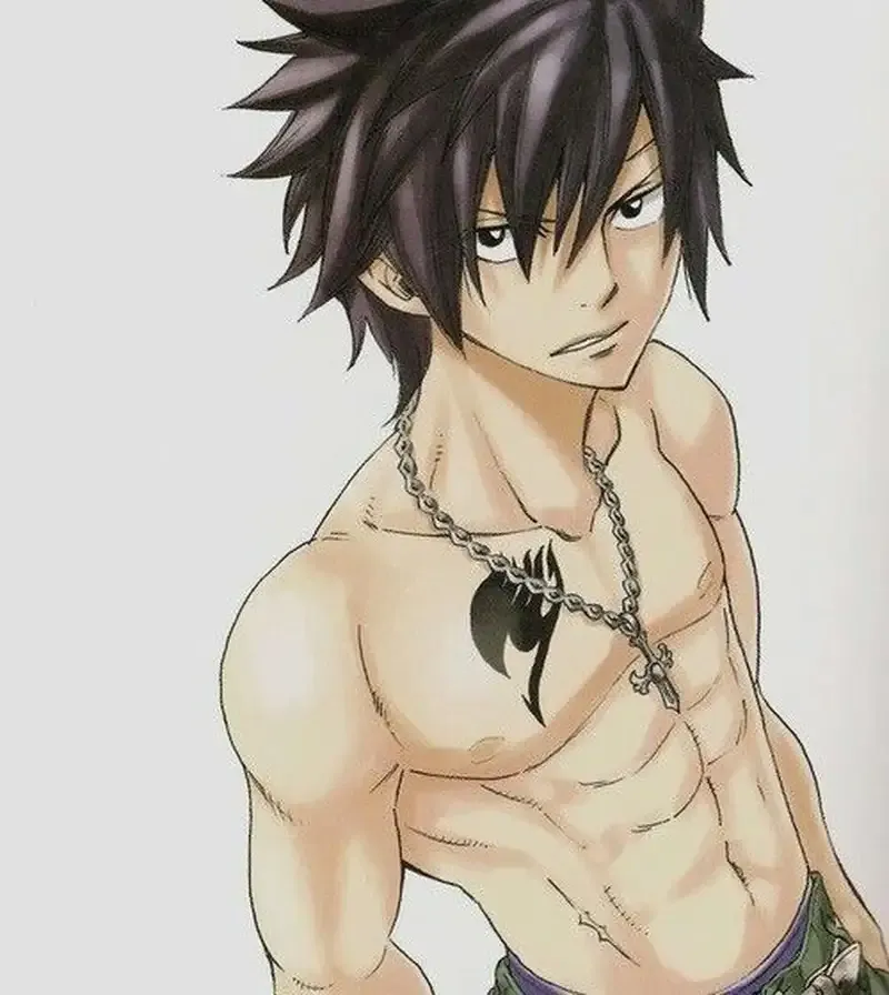 Ảnh Gray Fullbuster 6