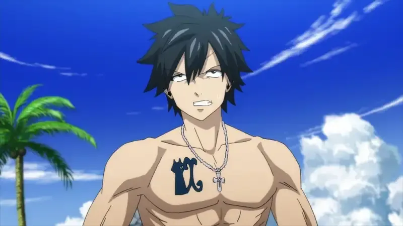 Ảnh Gray Fullbuster 14