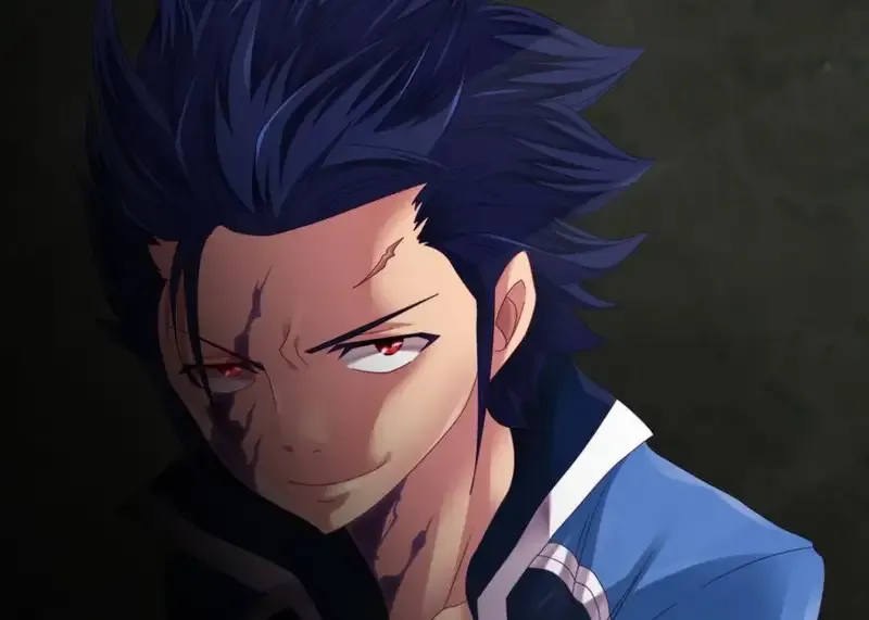 Ảnh Gray Fullbuster 18