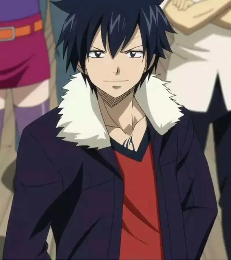 Ảnh Gray Fullbuster 20