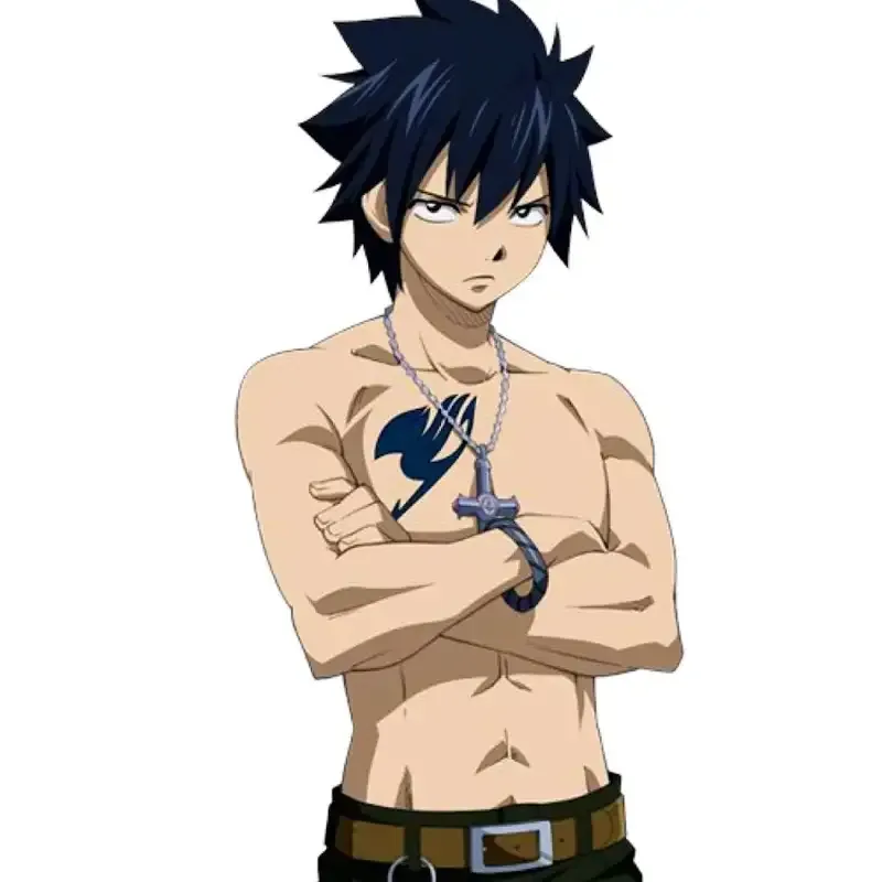 Ảnh Gray Fullbuster 51