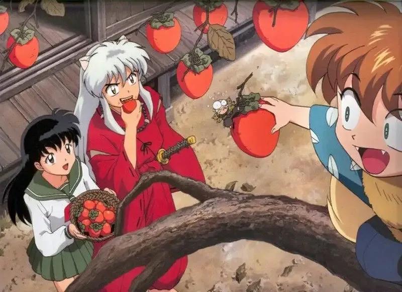 ảnh Inuyasha 27