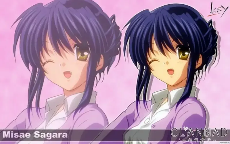 Sagara Misae 42
