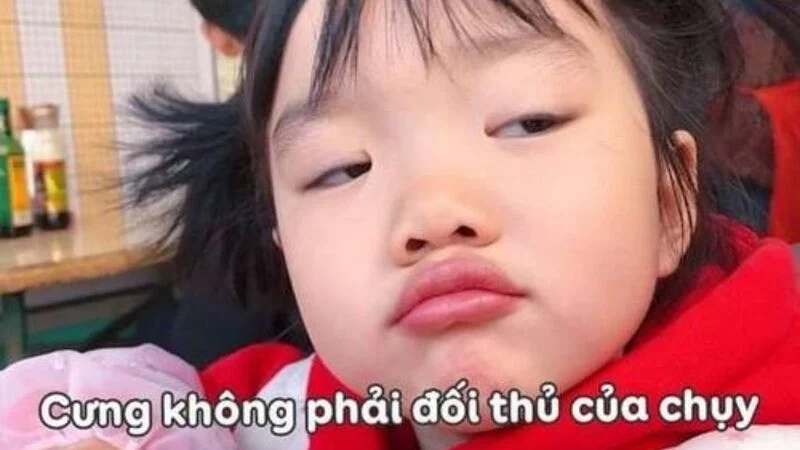 Cười thả ga với ảnh vui meme hài gốc