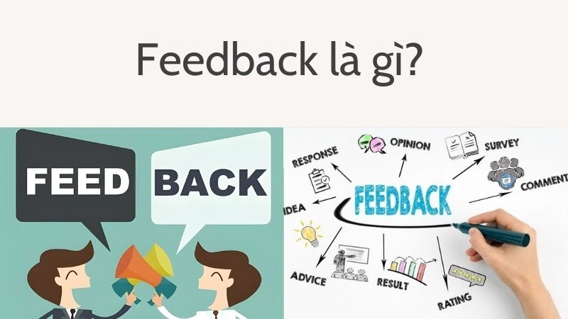 Feedback thực sự là gì? Định nghĩa đơn giản nhất