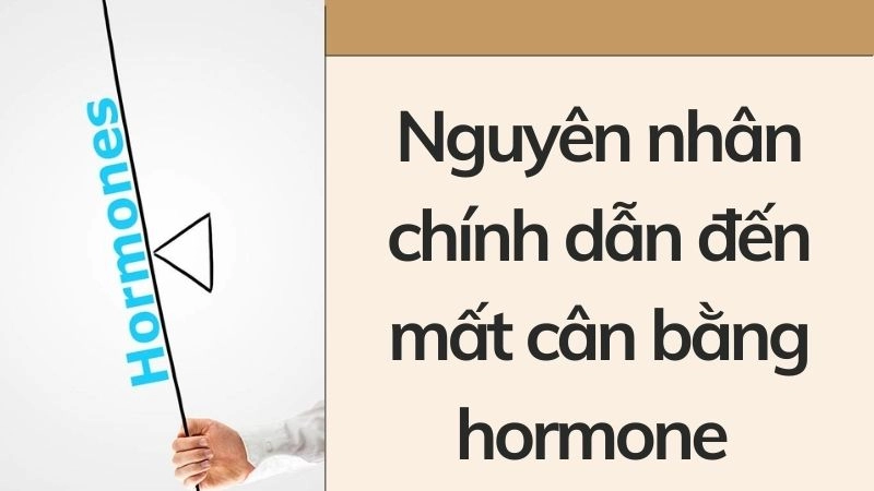 Nguyên nhân chính dẫn đến mất cân bằng hormone 