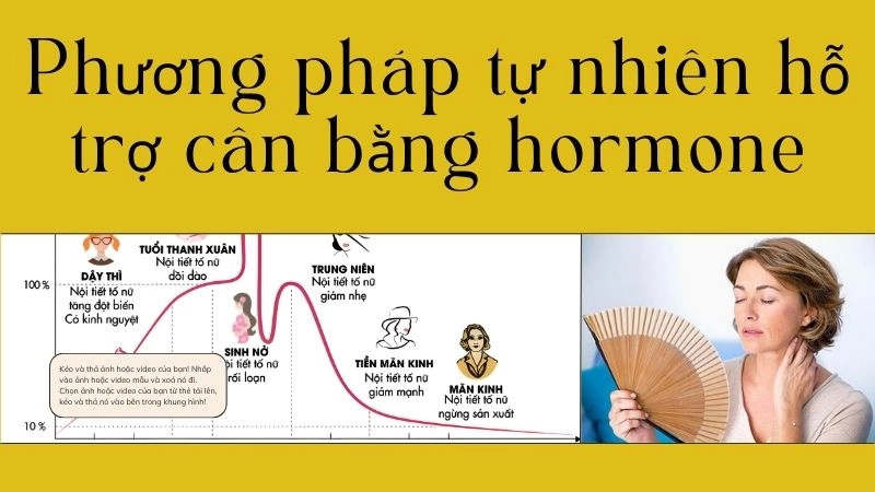 Phương pháp tự nhiên hỗ trợ cân bằng hormone