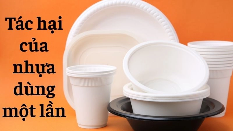 Sát thủ giấu mặt từ hạt vi nhựa trong thực phẩm