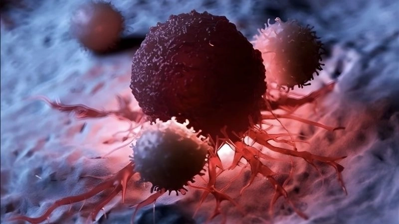 Nguy cơ ung thư tiềm ẩn từ thói quen tiện lợi