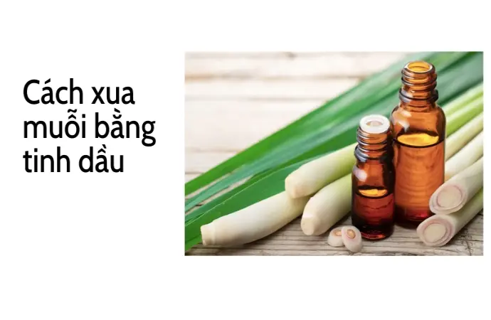 Trải nghiệm cách đuổi muỗi trong phòng ngủ an toàn nhất