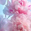 Cùng ngắm những ảnh hoa tươi đẹp bạn không thể bỏ qua
