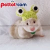 Hướng dẫn cách chăm sóc hamster khoa học giúp bé mập mạp khỏe mạnh