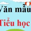 Khám phá Doraemon: Chú mèo máy bạn thân của mọi nhà