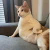 Khám Phá Thế Giới Meme Chống Nạnh Cute: Biểu Cảm Hài Hước Đốn Tim
