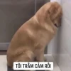 Khám phá thế giới meme trầm cảm: Hài hước và sâu sắc