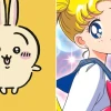 Usagi Nhân Vật Đáng Yêu Trong Thế Giới Chiikawa