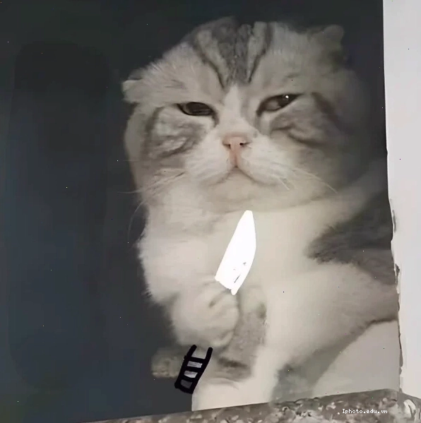 Ảnh cầm dao ngầu meme