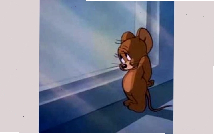 Ảnh Jerry meme với vẻ mặt ngượng ngùng