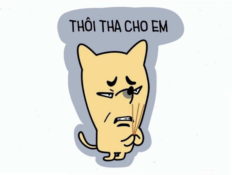 Ảnh mặt meme biểu cảm cầu xin đáng yêu