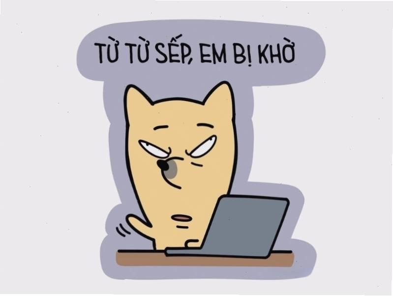 Ảnh mặt meme hài hước biểu cảm ngây thơ hỏi sếp