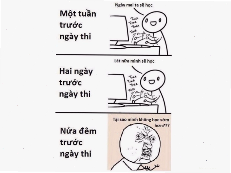 Ảnh mặt meme ôn tập trước ngày thi