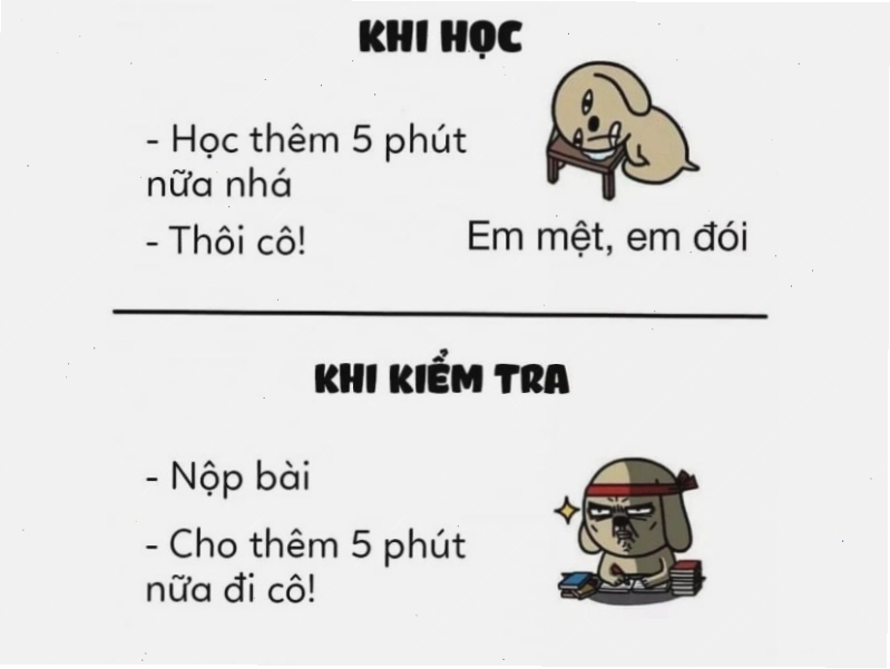 Ảnh mặt meme Roblox so sánh thời gian học và kiểm tra