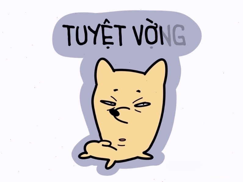 Ảnh mặt meme Trung Quốc thể hiện sự tương phản tuyệt vời và tuyệt vọng