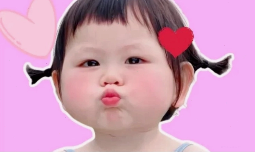 Ảnh meme cute chú mèo biểu cảm đáng yêu