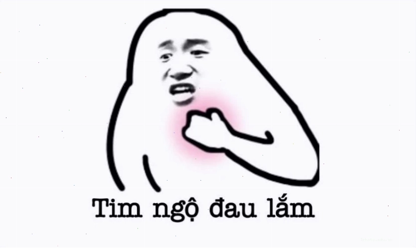 Ảnh meme hài hước với chú mèo biểu cảm