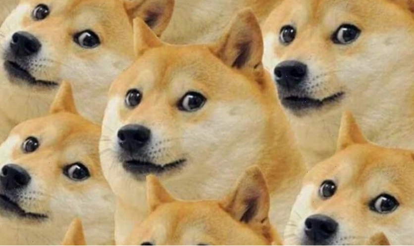 Ảnh meme hài hước với màu sắc tươi sáng