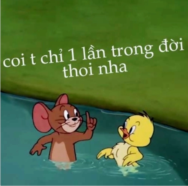Ảnh meme Jerry đăng bình luận