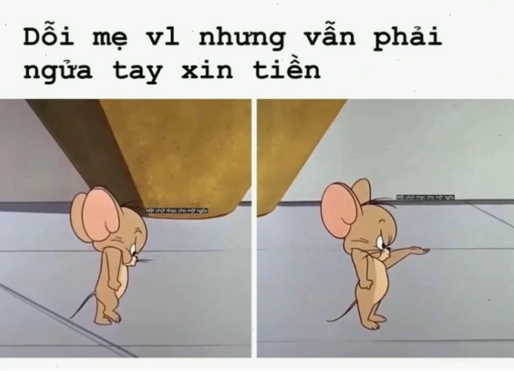 Ảnh meme Jerry đáng yêu