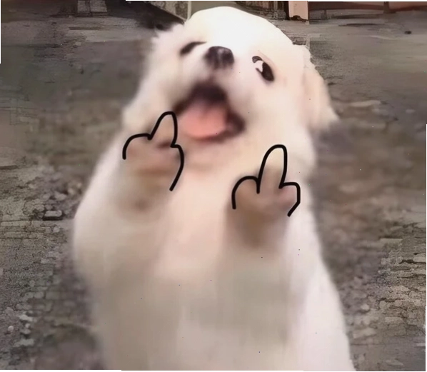 Ảnh meme mặt khinh bỉ thể hiện sự không quan tâm