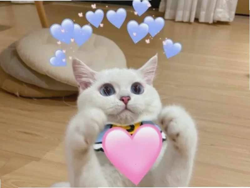 BST meme tình yêu dễ thương và ý nghĩa