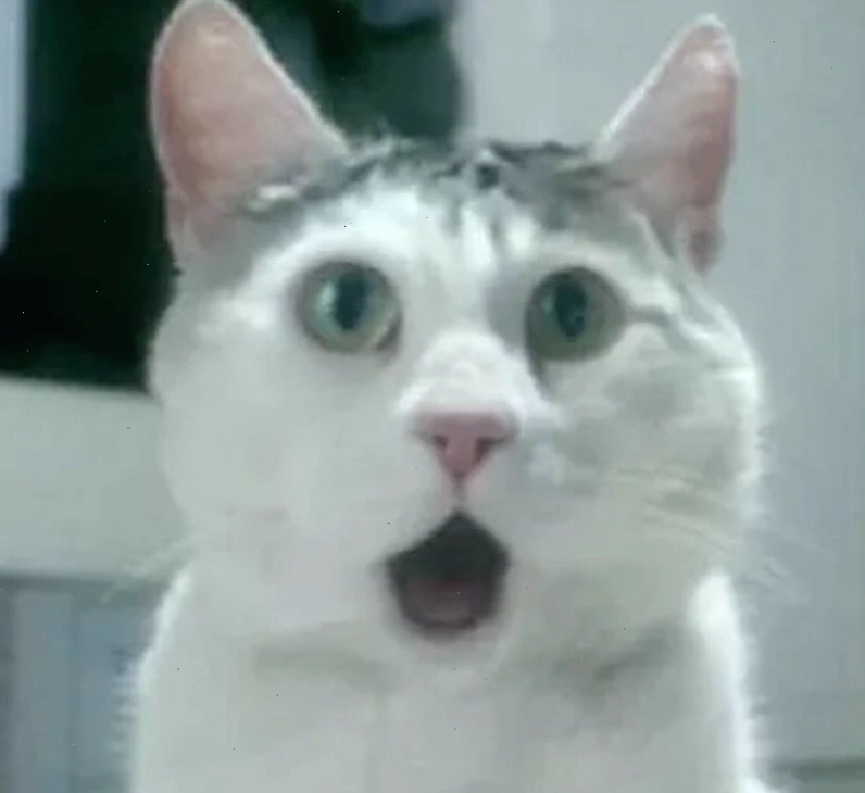 Các trường hợp sử dụng meme ngạc nhiên trong giao tiếp trực tuyến