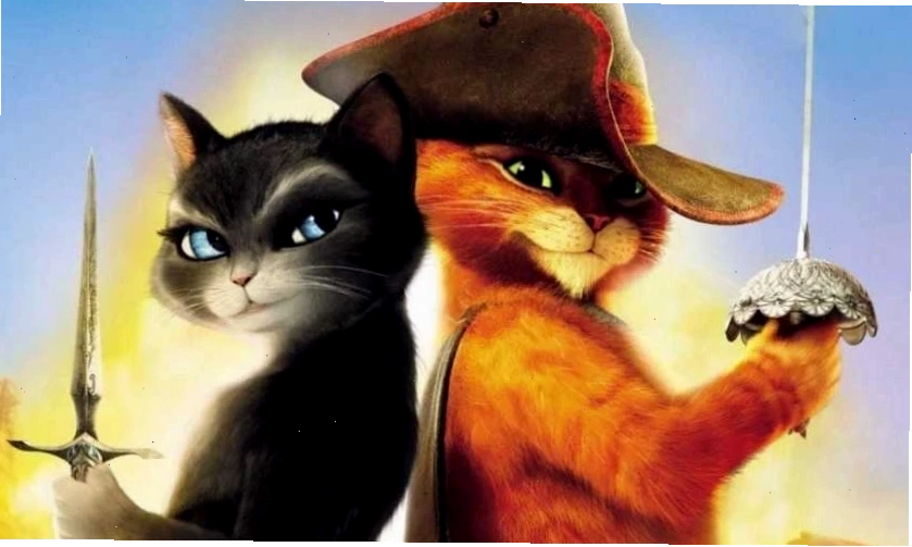 Chú mèo đen trong phim hoạt hình Puss In Boots