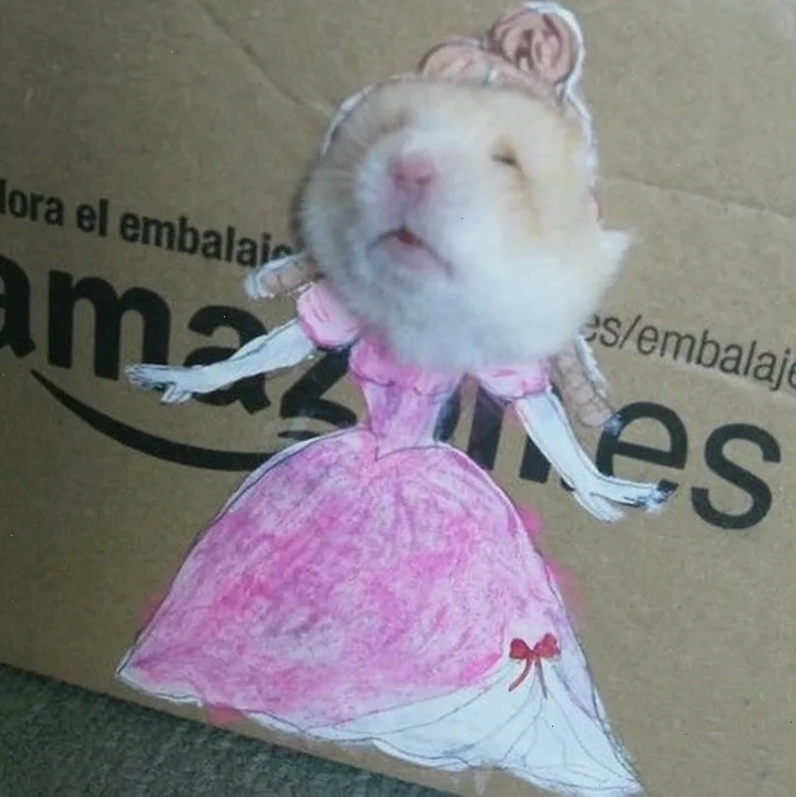 Giải stress tức thì với cute hài hước meme chuột hamster