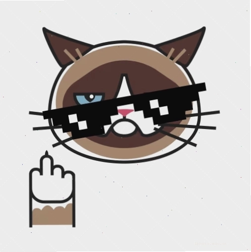 Grumpy Cat, chú mèo với biểu cảm cau có đặc trưng