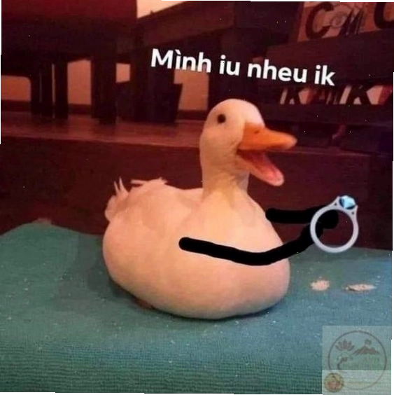 Hình ảnh chế động vật với biểu cảm khó đỡ
