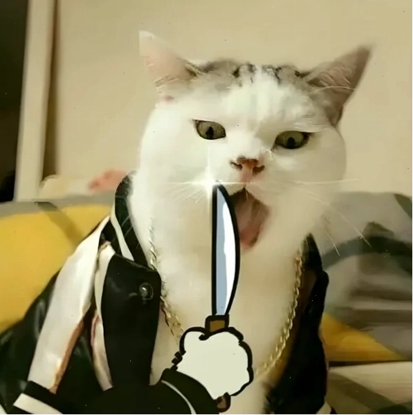 Hình ảnh mèo cầm dao meme thể hiện sự ngầu lòi