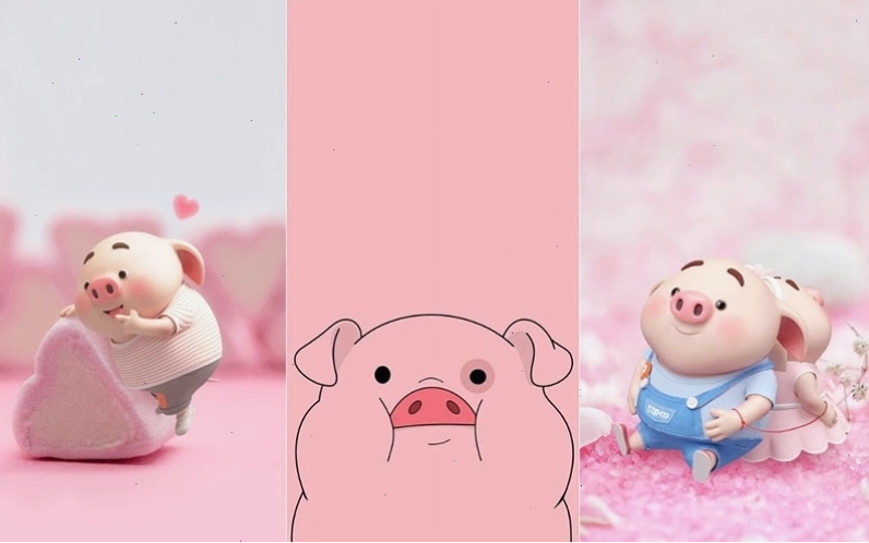 Hình nền con heo ngầu đội mũ và đeo kính