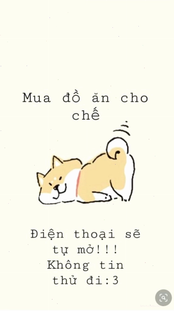 Hình nền điện thoại cute với chú chó nhỏ