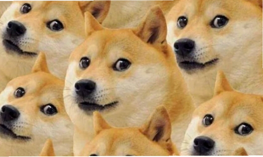 Hình nền điện thoại meme hài hước