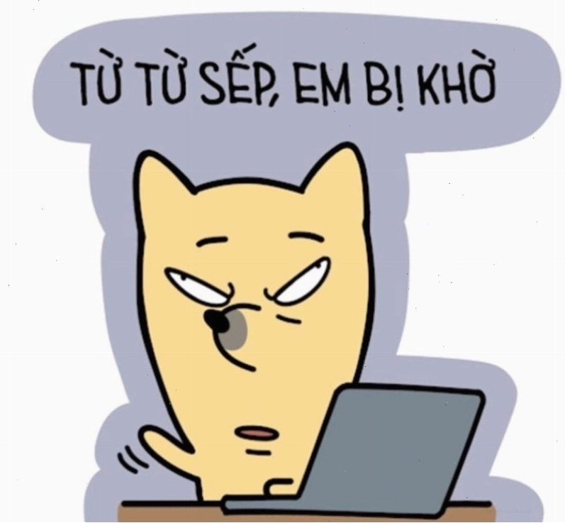 Hình nền máy tính meme dễ thương với các loài động vật
