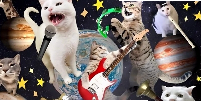 Hình nền máy tính meme về các chủ đề "vô tri" khác
